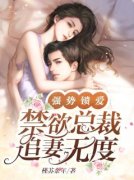 强势锁爱：禁欲总裁追妻无度小说