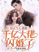《相亲当天，我和千亿大佬闪婚了
