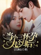 《当小三怀孕九个月后》完整版-李