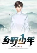 《乡野少年》小说全文在线试读，