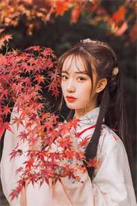 大明岭南十八皇子