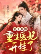 好文热推小说邪王难缠：重生医妃
