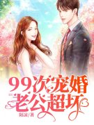 小说《99次宠婚：老公，超坏！》全