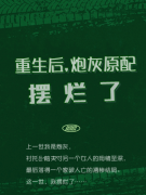 已完结小说《炮灰女配躺平后，她