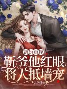 小说《离婚重逢，靳爷他红眼将人