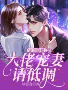 顾夏陆靳北小说无广告阅读