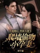 全章节小说禁欲大佬偷吻小孕妻林