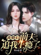 完整版《萌宝来袭：席总追妻火葬
