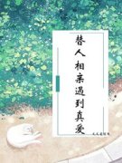 陆琛苏悦完整版《替人相亲遇到真
