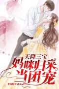 《南晚清霍木晟》主角小说天降三