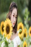 《豪门弃女重生后满级归来》(盛锦