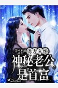 天灾大招：觉醒神罚者，我不想努