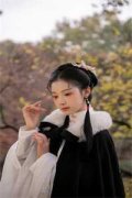 黑暗崛起小说凌展赵璇玑（已完结
