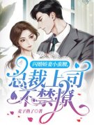 快手热推《闪婚娇妻小蛮腰，总裁
