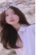 良心推荐热门小说宫斗：娘娘出身