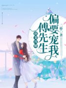 主人公叫盛眠傅燕城的小说离婚后