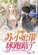 《盛总，苏小姐带球跑路了》小说