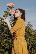 《小说网游降临：重回灾变之前结