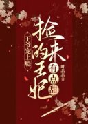 抖音小说王爷宠上瘾：捡来的王妃