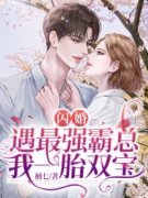 《闪婚：遇最强霸总，我一胎双宝