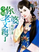 小说《记忆碎片》全文阅读-经典文