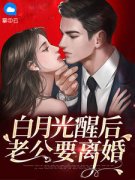 白月光醒后老公要离婚全文目录-苏