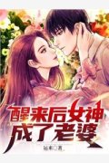 沈时砚沈鹿溪(过分贪恋全本阅读