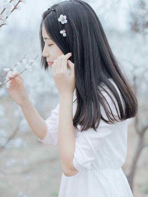重生后，侯门夫人假死嫁权王全文