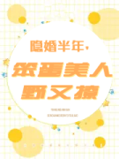 完整版《隐婚半年，笨蛋美人野又