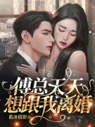 《傅总天天想跟我离婚》小说主角