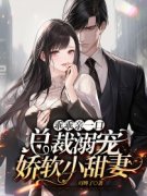 抖音南若蒋子义小说叫什么名字