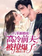 葵满星的小说《八零新婚夜，高冷