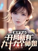 《高手下山，开局就有九十九个师