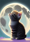 最完整版快去看看吧，你家热芭又