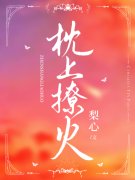枕上撩火小说，枕上撩火免费阅读