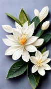 周思宜宴清河《神级撒娇》小说完
