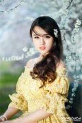 小说南秘书辞职后，总裁哭着求复