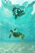 文娱奶爸：给异界亿点文化震撼热