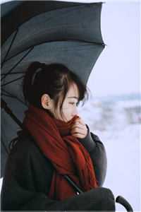 成幕森林宛彤