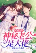 闪婚急诊，神秘老公是大佬小说阅