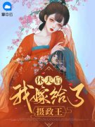 免费完结小说《休夫后我嫁给了摄