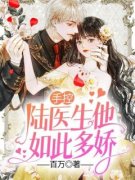 手控，陆医生他如此多娇林知意陆