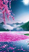 爆款小说《诱吻掌中娇》在线阅读