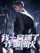 我一窝端了诈骗团伙小说(完本)-辛