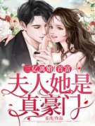精彩小说陆初霍靖予三亿离婚！首