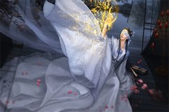 傻子快来给姐治病全章节免费在线