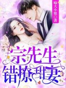 全本资源在线阅读《宗先生，错撩