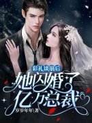男女主人公叫南荞商景澈的小说免