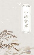 主角徐思泽傅玉小说小城官事免费