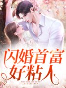 《闪婚首富好粘人》小说好看吗 叶